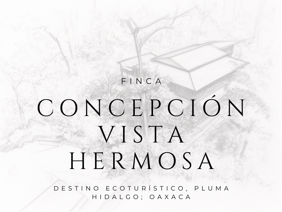 finca